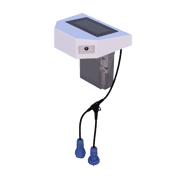 Brain transparent